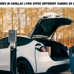 Sirbserbica: Exposing the Hidden Truth Behind SEO Spam